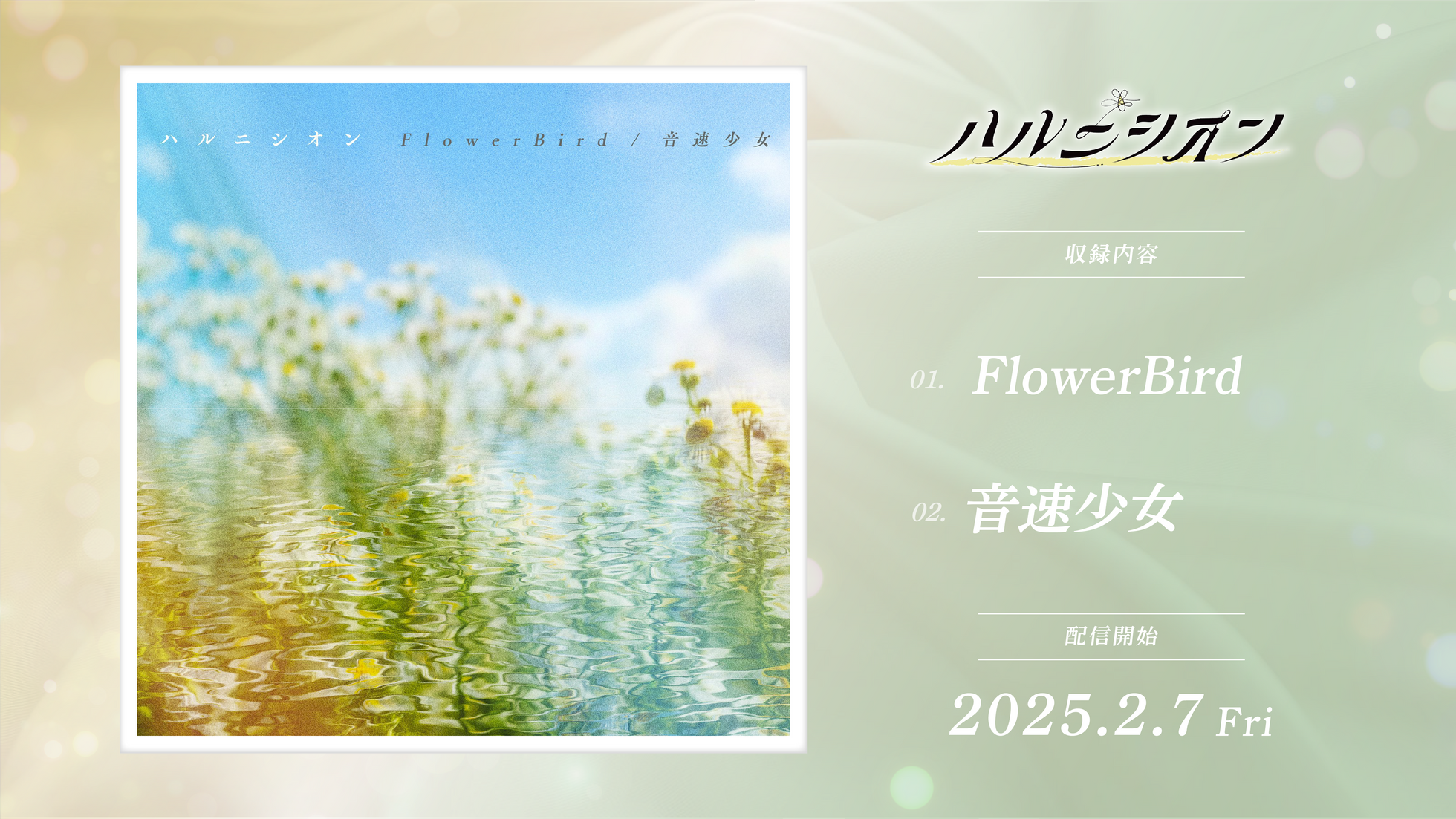 FlowerBird / 音速少女