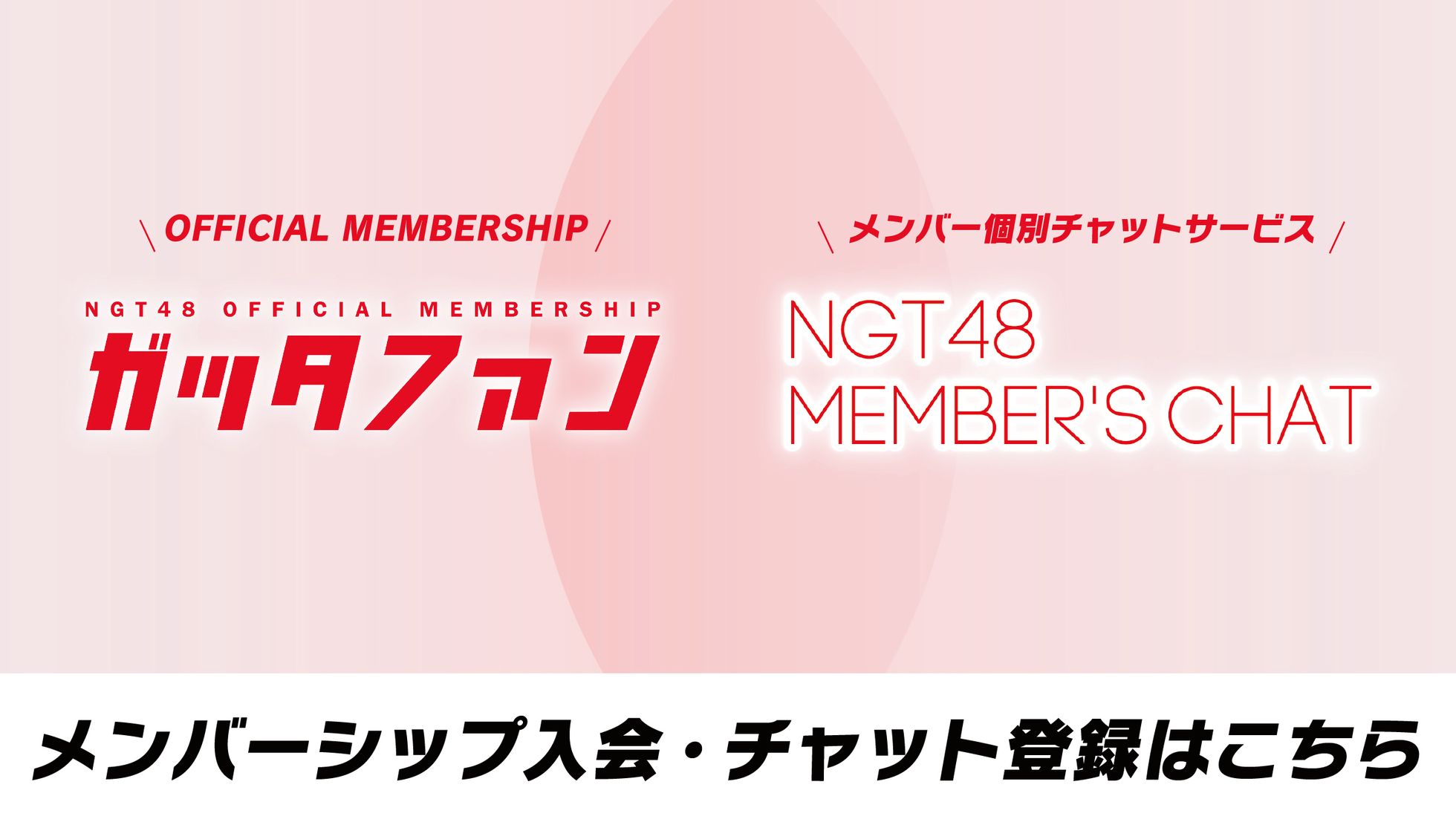 NGT48 OFFICIAL MEMBERSHIP SITE